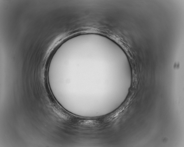 X0000094910151200712201205