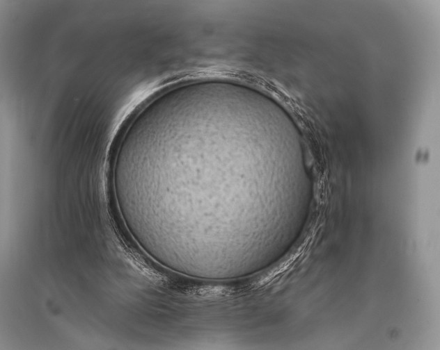 X0000094910152200712201205