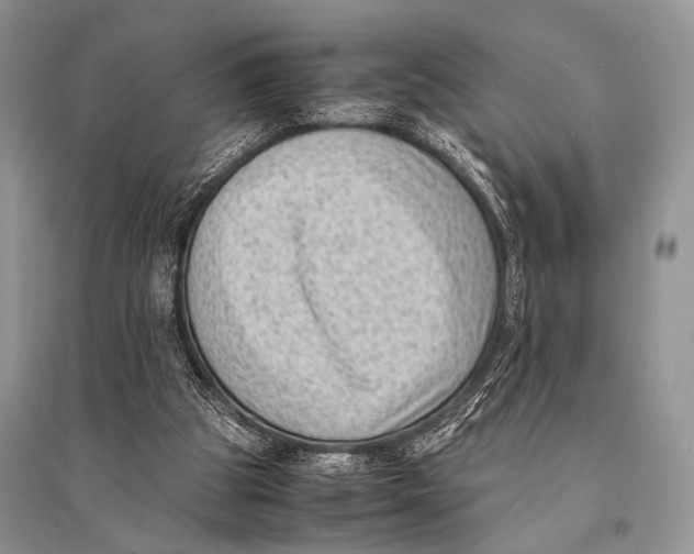 X0000094910153200712201205