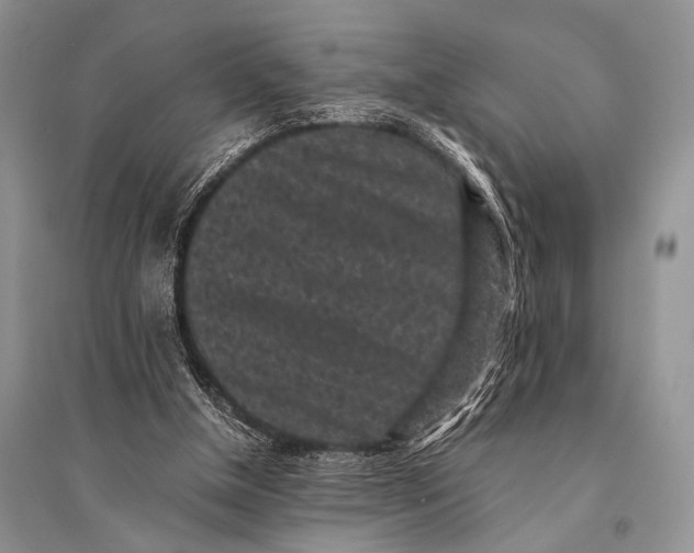 X0000094910154200712201205