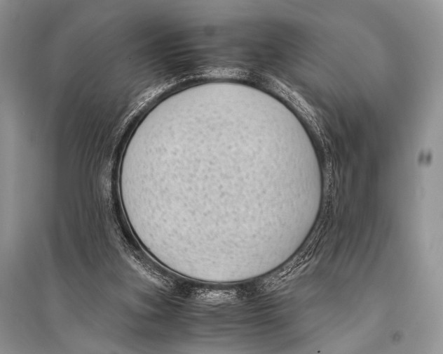 X0000094910155200712201205