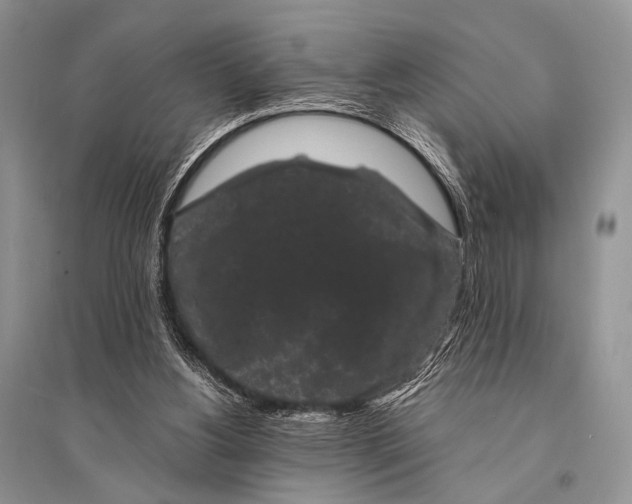 X0000094910156200712201205