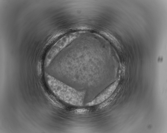 X0000094910158200712201205