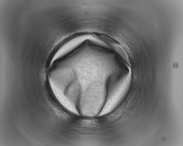 X0000094910160200712201205