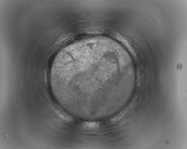 X0000094910161200712201205