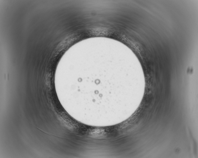 X0000094910162200712201205