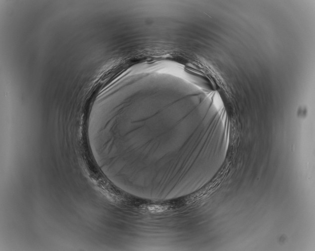 X0000094910163200712201205