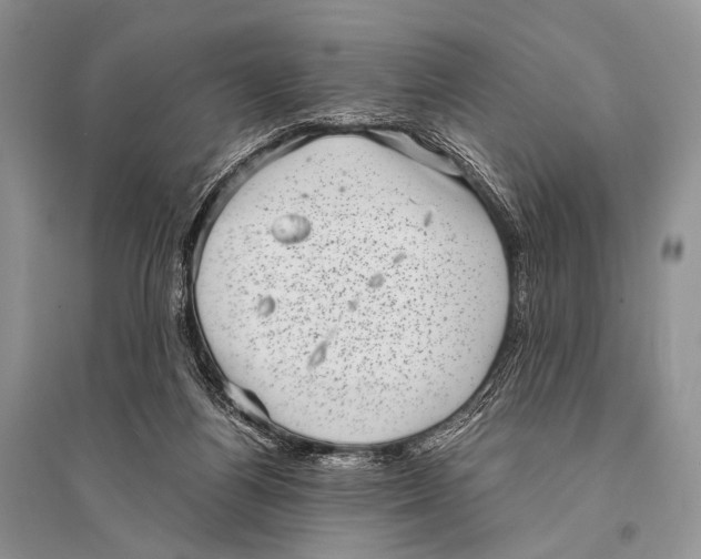 X0000094910164200712201205