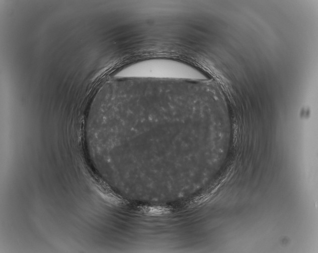 X0000094910165200712201205