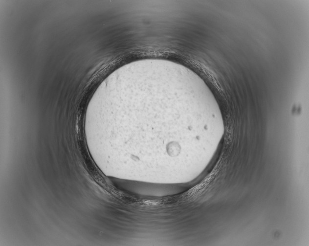 X0000094910166200712201205