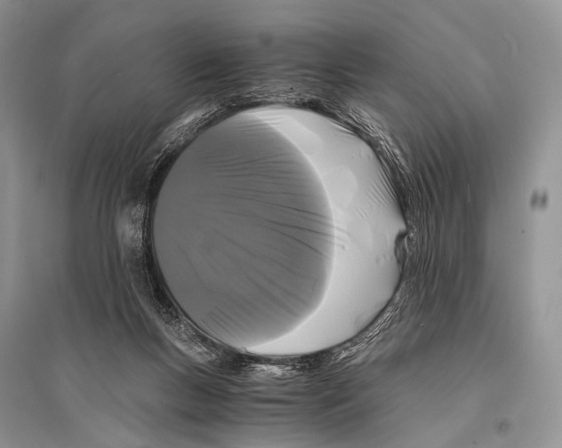 X0000094910167200712201205