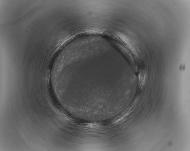 X0000094910168200712201205