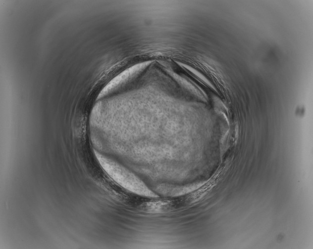 X0000094910172200712201205