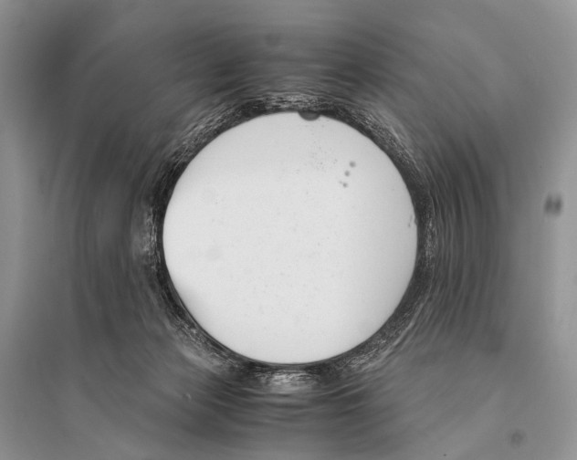 X0000094910173200712201205