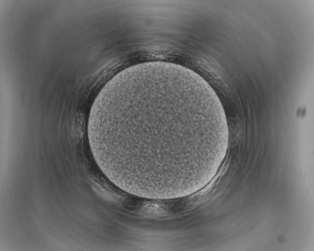 X0000094910174200712201205