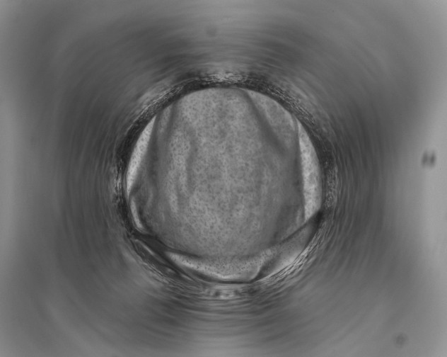 X0000094910176200712201205