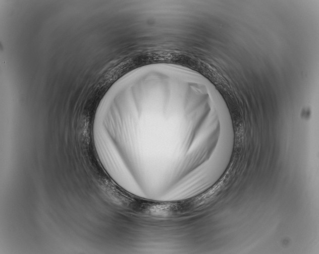 X0000094910178200712201205