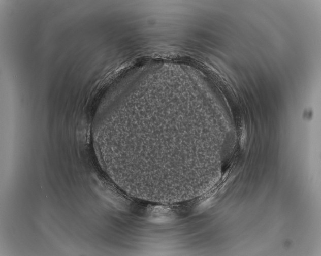 X0000094910180200712201205