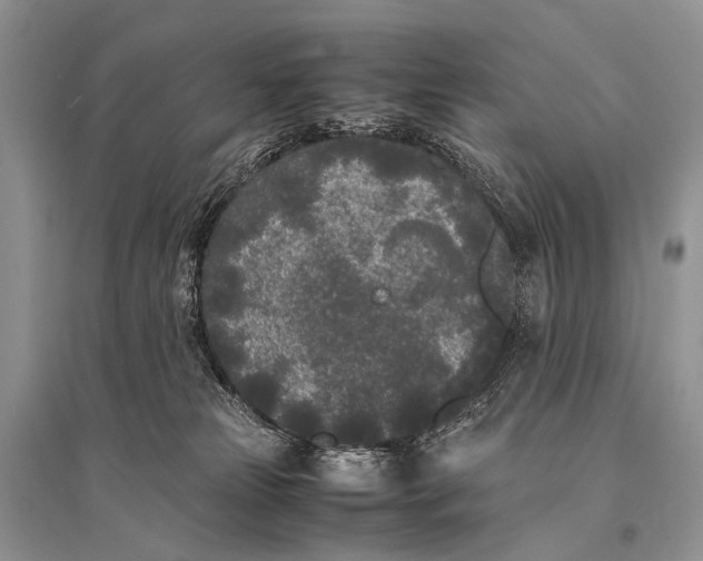 X0000094910181200712201205