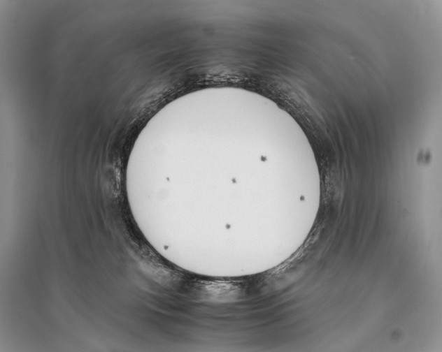 X0000094910183200712201205