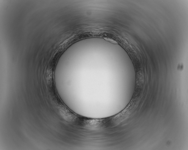 X0000094910184200712201205