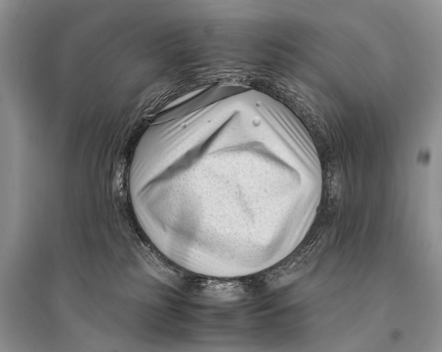 X0000094910185200712201205