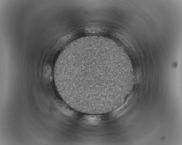 X0000094910187200712201206