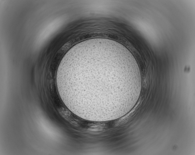 X0000094910191200712201206