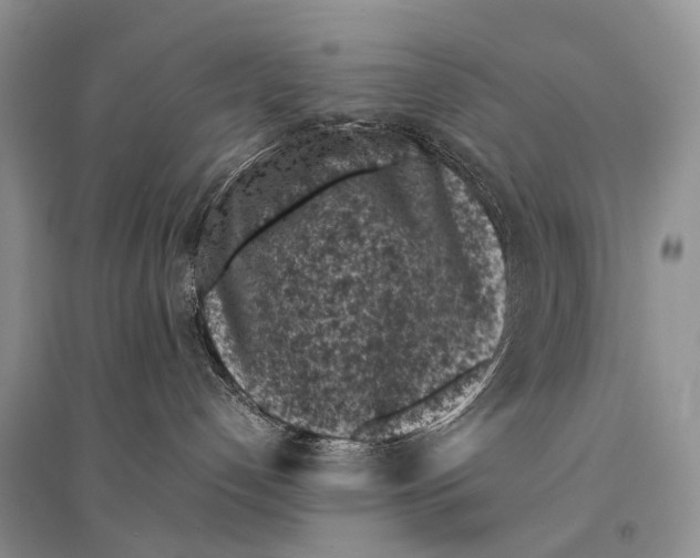 X0000094910192200712201206