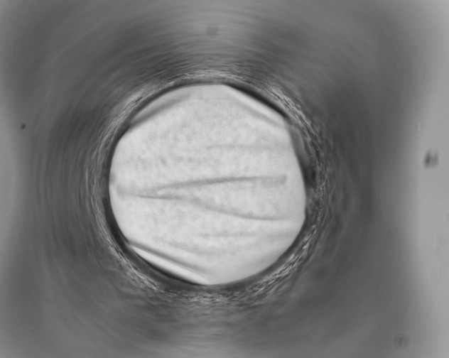 X0000094910193200712201205