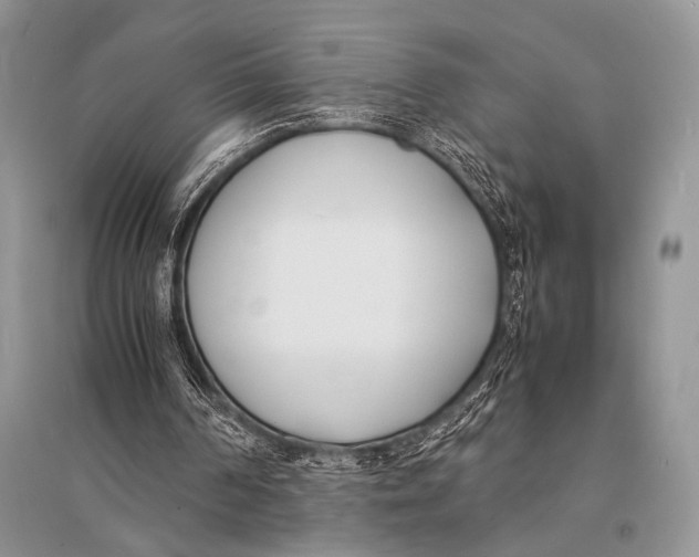 X0000094910194200712201205