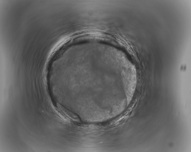 X0000094910197200712201205