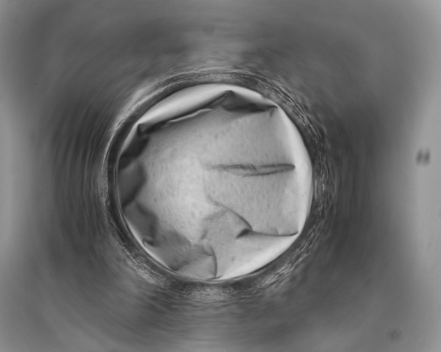 X0000094910198200712201205