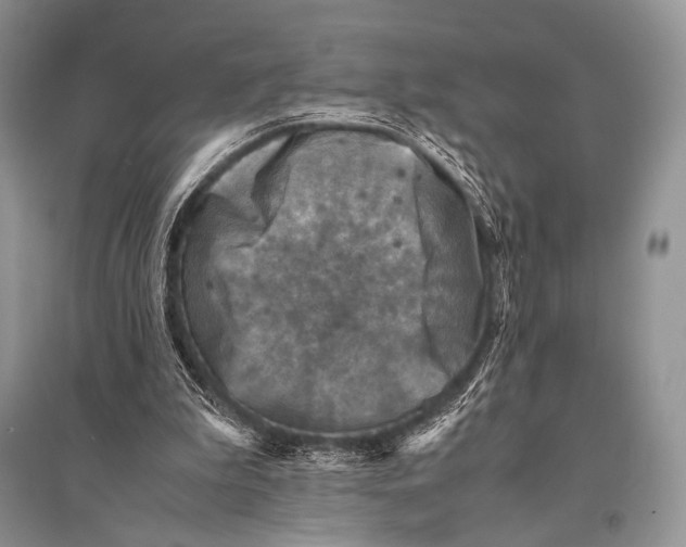 X0000094910199200712201205