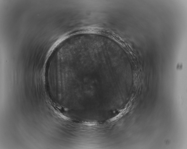 X0000094910200200712201205