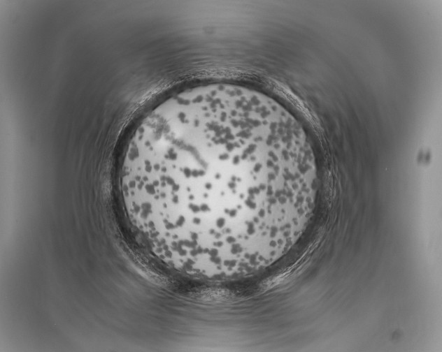 X0000094910203200712201205