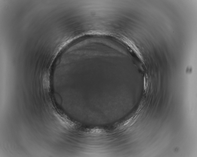 X0000094910204200712201205