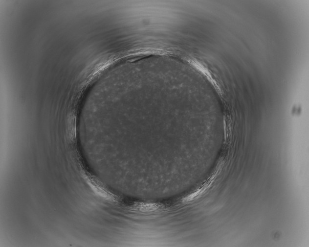 X0000094910205200712201205