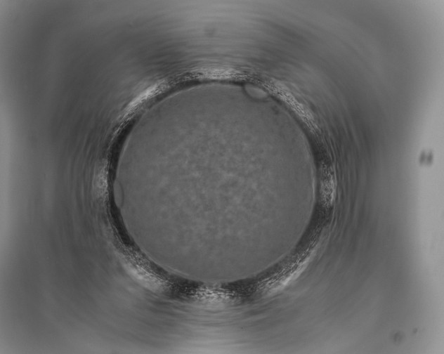 X0000094910207200712201205