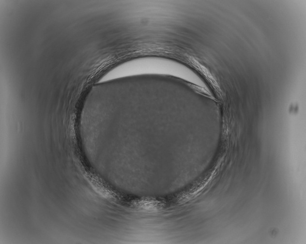 X0000094910209200712201205