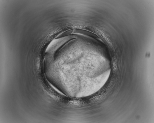 X0000094910211200712201205