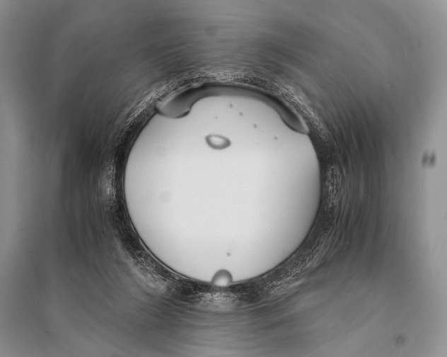 X0000094910212200712201205