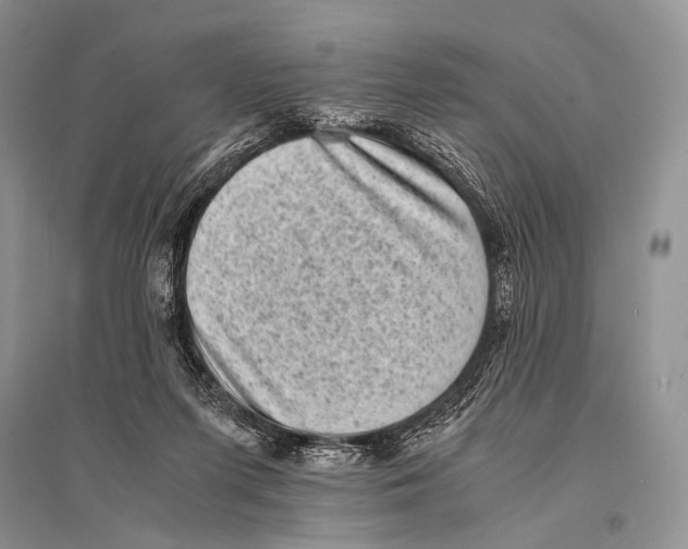 X0000094910215200712201205