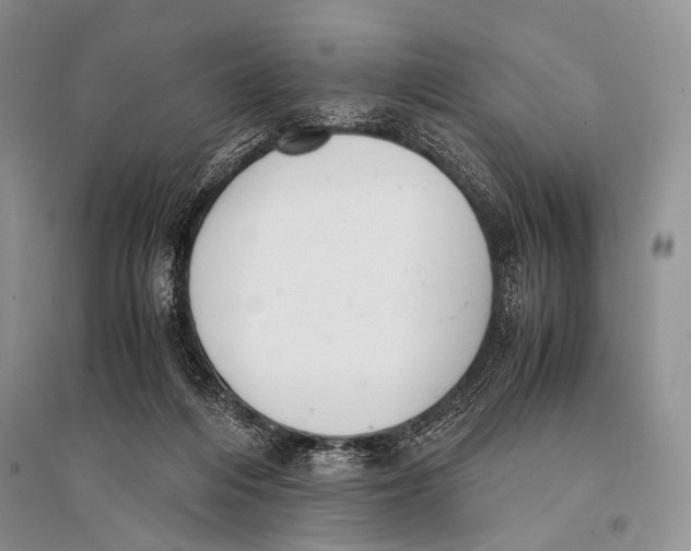 X0000094910216200712201205