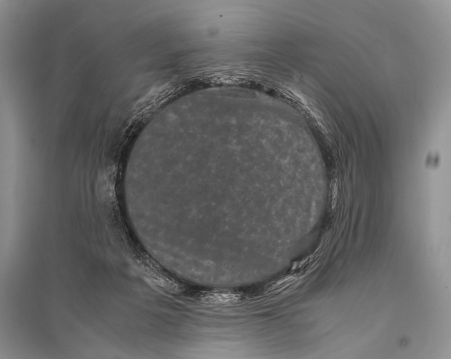 X0000094910217200712201205