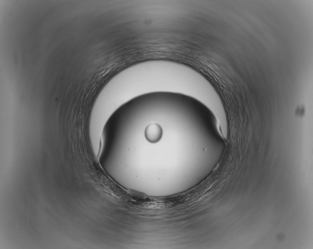 X0000094910219200712201205