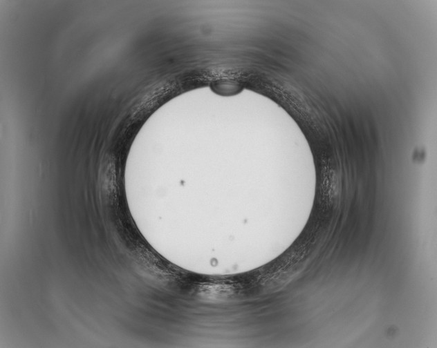 X0000094910220200712201205