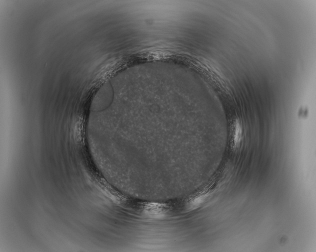 X0000094910222200712201205