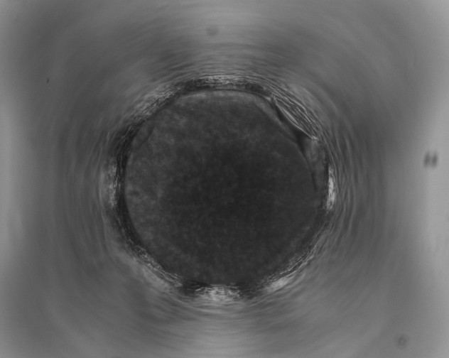 X0000094910223200712201204