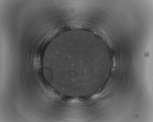 X0000094910224200712201204